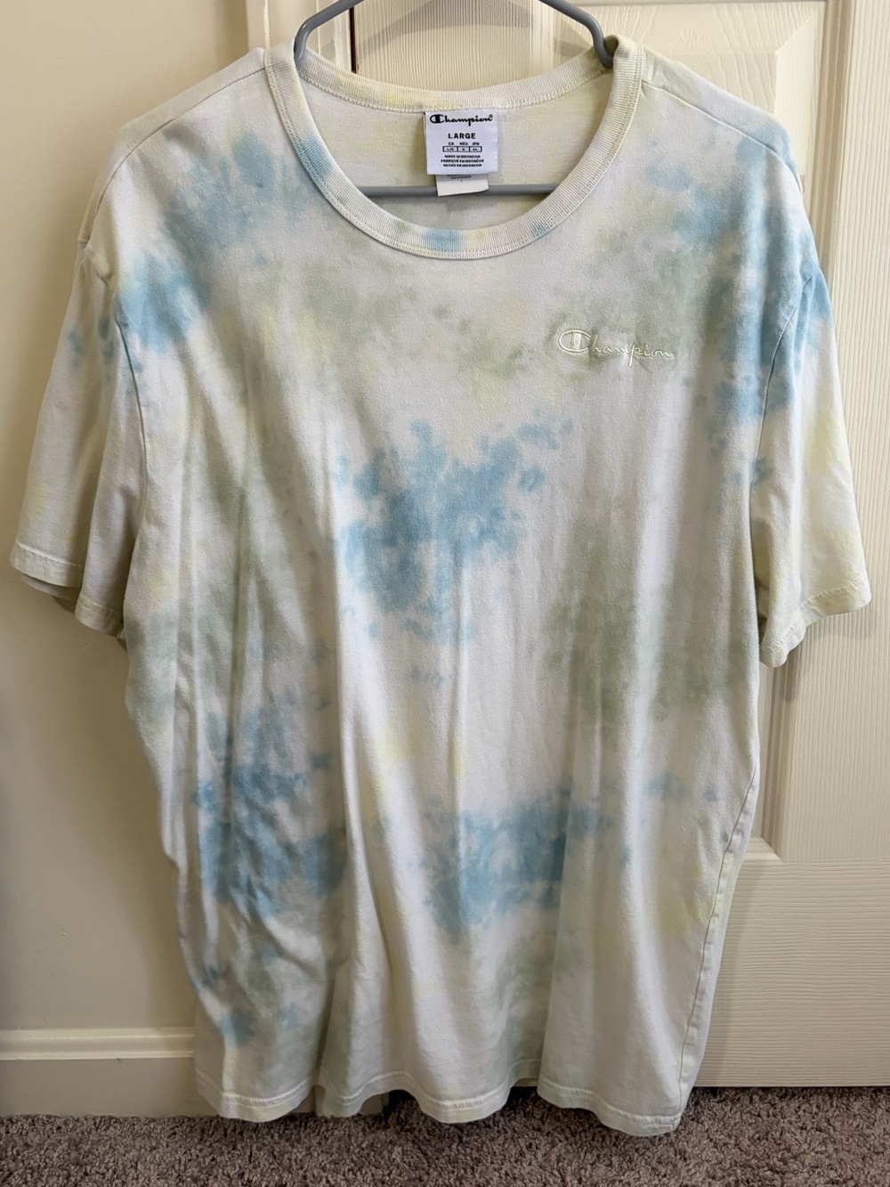 Champion Short Sleeve Tie-Dye Tee in Blue & Green